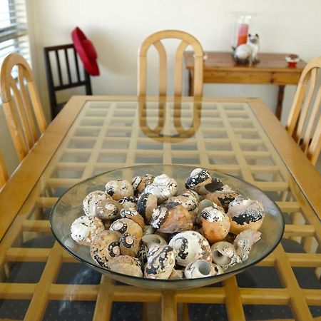 Summer Place B&B Agulhas Bagian luar foto